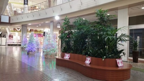 2020イオンモール名古屋みなとクリスマスツリー1.jpg